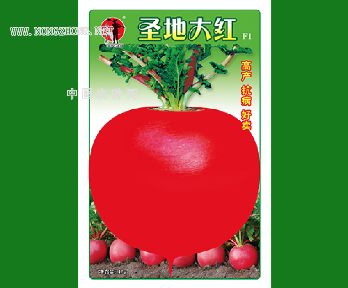 圣地大红